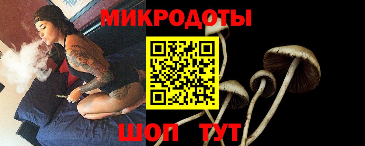 где купить наркоту  Псилоцибиновые грибы мухоморы  Вход с VPN  Вичуга 