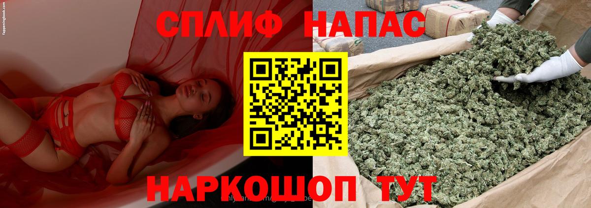Шишки марихуана конопля Вичуга